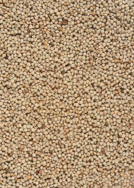 consistenza del seme di perilla su bianco (lin di ocimoide) - shiso foto e immagini stock