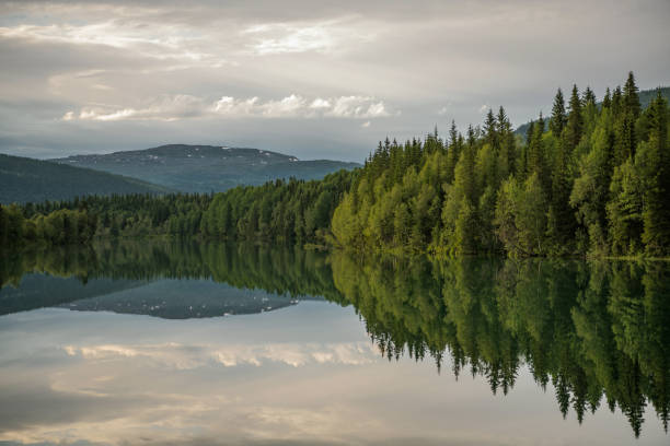 Scenic Nordland County Norway. Calm Surface Lake, Mountains and Tree Line Reflections. Norwegian Landscape.