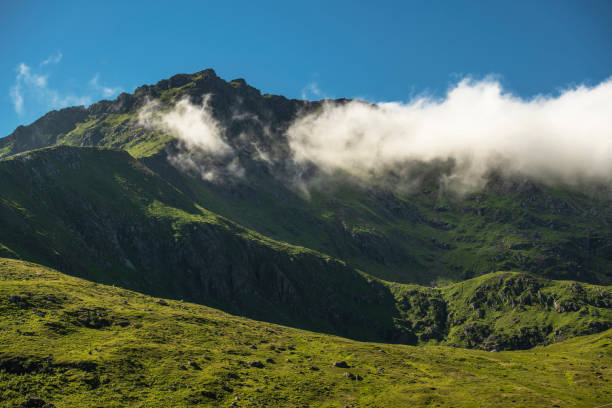 istock Summer Lofoten Mountains Scenery 1335433161