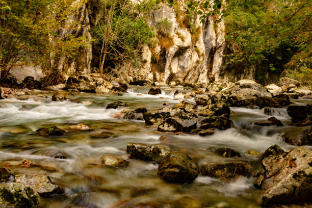 istock River landscape of Asturias 1335438302