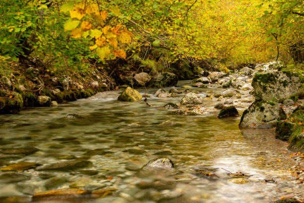 istock River landscape of Asturias 1335438312