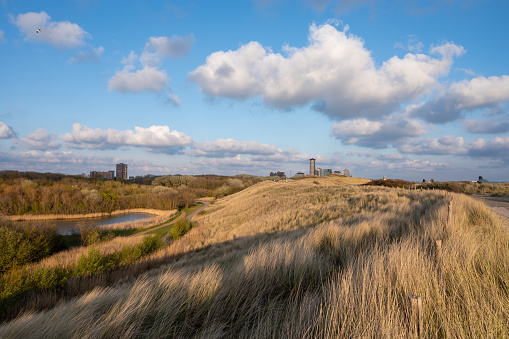 Breskens Lighthouse and Landscape on Coast of North Sea against Blue Sky background Outdoors. Zeeland, Netherlands