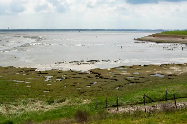 Panoramic view on sea coast in province of Zeeland, during low tide, nature of Netherlands
