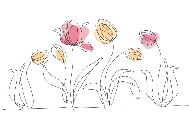 illustrazioni stock, clip art, cartoni animati e icone di tendenza di disegni di fiori - tulip