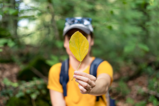 Young woman in a yellow t-shirt in defocus holding an autumn fallen leaf in front of her face in forest, faceless concept, anonymous, psychology Autumn mood