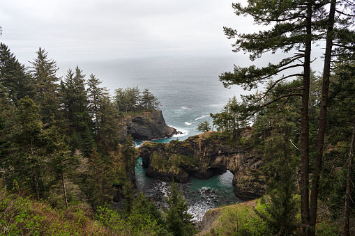 Beautiful coastal landscape. Coastal forest in Oregon, USA. Rocky sea coast. Nature and scenery.