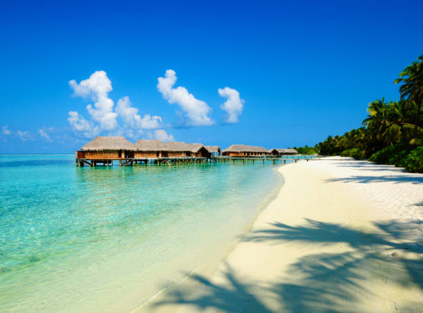 istock Tropical Island in the Indian Ocean 1335452003
