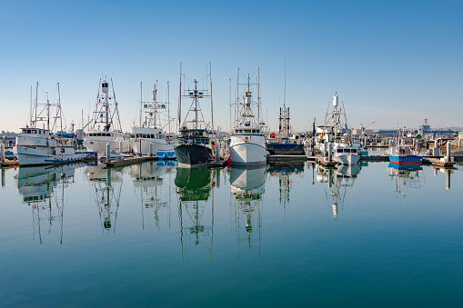 San Diego, CA - Nov 18, 2018: Tuna and sportfishing boats in their slips in Tuna Harbor and their reflections await another active day on the Pacific Ocean.
