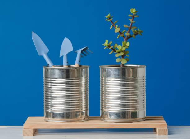 istock Aluminum cannons used as containers for growing plants on blue background 1335455314