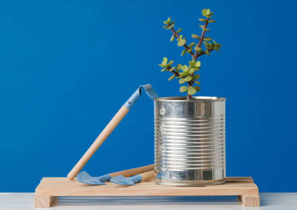 istock Recycled can on wooden boards with tools for planting, blue background. 1335455317
