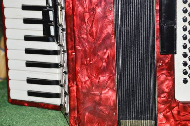 istock Musical instrument.  Accordion 1335464121