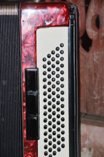 istock Musical instrument.  Accordion 1335464123