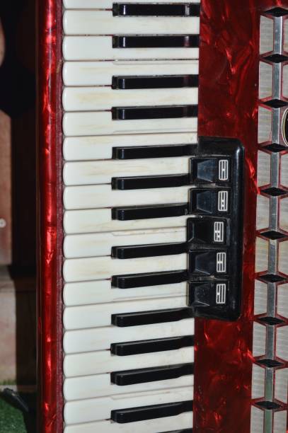 istock Musical instrument.  Accordion 1335464141