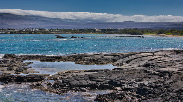 piscina de marea de lava - tree wind palm tree hawaii islands fotografías e imágenes de stock