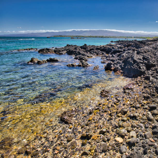 istock Colorful Shoreline Rocks 1335465463