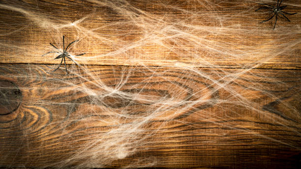 istock Wooden background covered with spider webs with black spiders and copy space 1335466696
