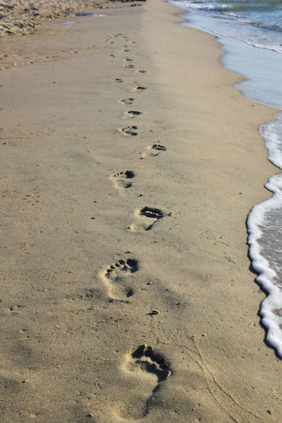 istock Human footprints on a sandy sea beach stretching into the distance. 1335468439