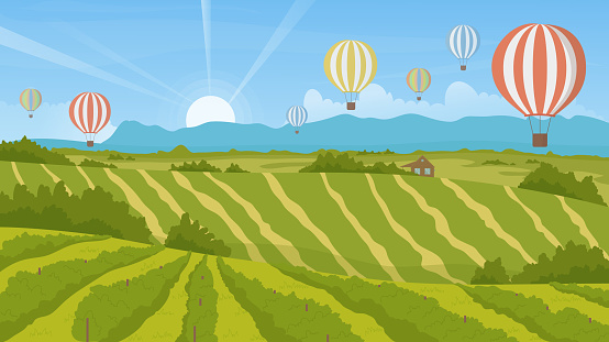 Summer green landscape with cute balloons flight vector illustration. Cartoon big hot air colorful balloons flying in blue sky over fields and vineyards in rural countryside sunrise scenery background