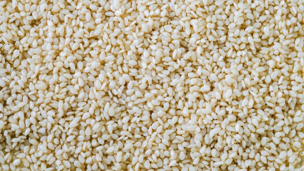 macro de fundo de sementes de gergelim de perto - white sesame seed - fotografias e filmes do acervo