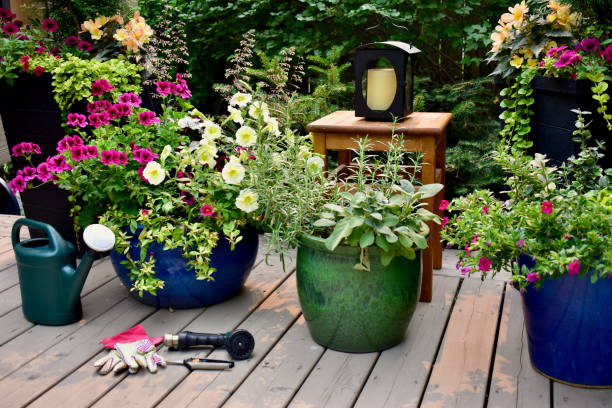 istock Backyard garden oasis setting with flowering planters, garden tools and watering can 1335475433