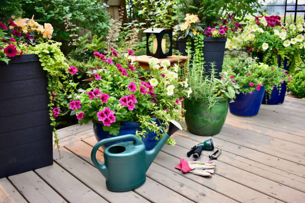 istock Backyard garden oasis setting with flowering planters, garden tools and watering can 1335475435