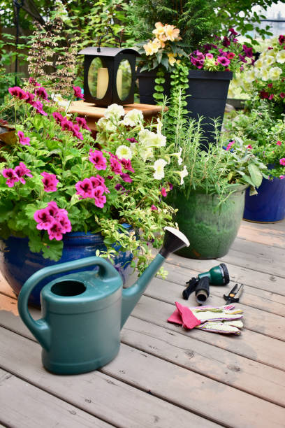 istock Backyard garden oasis setting with flowering planters, garden tools and watering can 1335475436