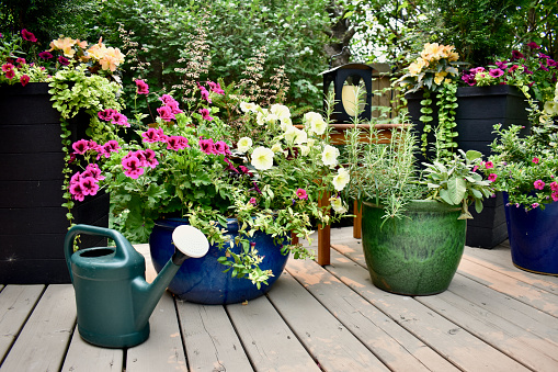 Colourful flowers in pots on a patio in front of a house