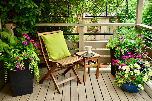 Relaxing seasonal backyard oasis for working from home, available with remote connectivity.