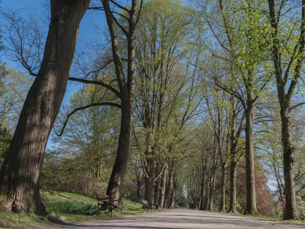 Local recreation area in spring, deserted due to corona pandemic