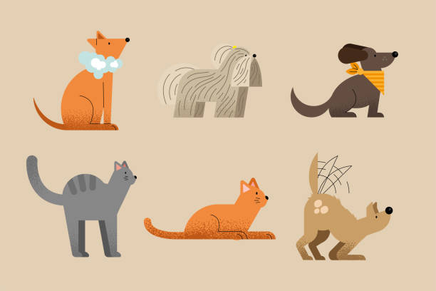 ilustrações de stock, clip art, desenhos animados e ícones de six washing pets icons - dog bathtub washing puppy