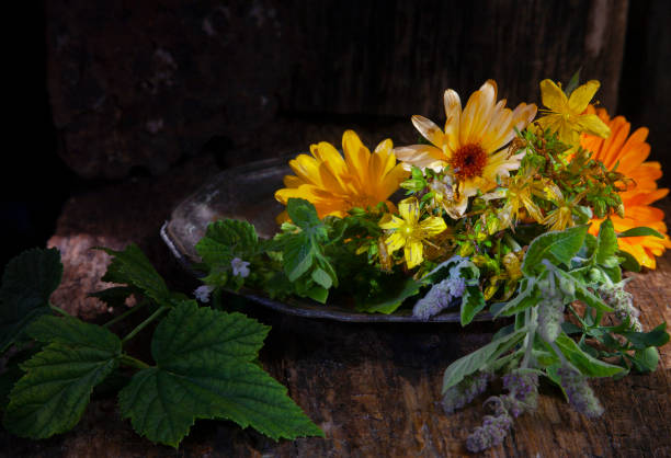 istock Fresh herbs on metal plate on wooden table 1335482701