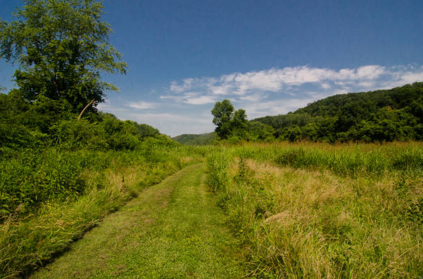 Castlewood SP - Trail on the Valley Floor