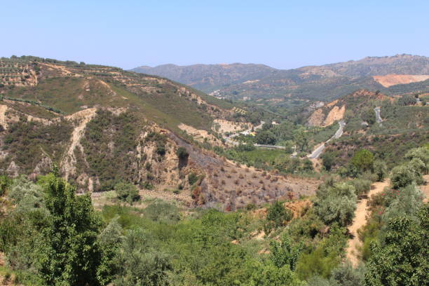 istock Mediterranean landscape in Greece 1335487879