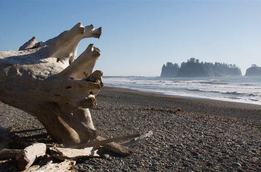Rialto Beach in the Olympic National Park