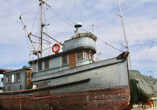 Fishing Boats moored at Fishing Boat Harbour Fremantle.