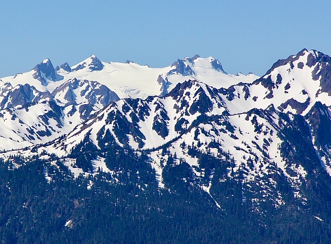 Mount Olympus in the Olympic National Park