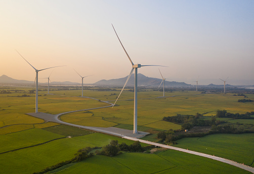 Wind power farm in Ninh Thuan Province