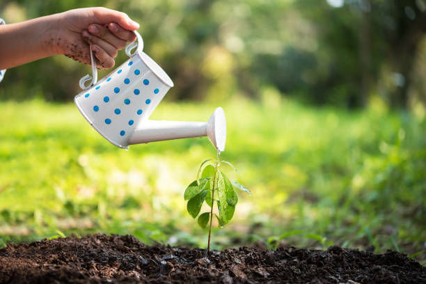 istock Sprout watered from a watering can on nature background. Ecology Concept 1335506726