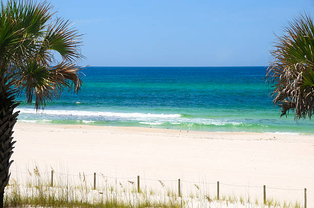 istock Gulf Coast of Florida 133551200