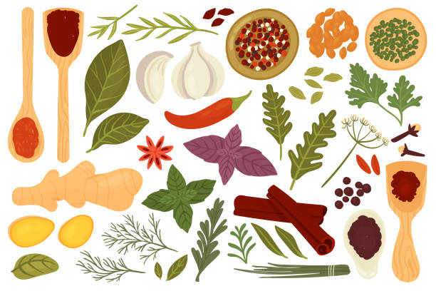 zestaw ziół przyprawowych do gotowania potraw, świeże organiczne menu roślin przyprawowych w kolekcji ziół - herb cooking garlic mint stock illustrations