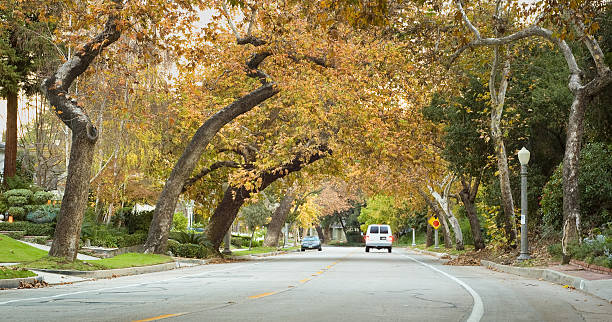 istock Suburban Street 133551236