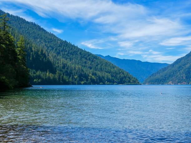 istock Lake Crescent in Olympic National Park 1335513104