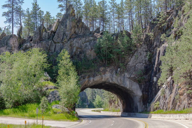 istock Tunnel near Keystone, South Dakota 1335513981