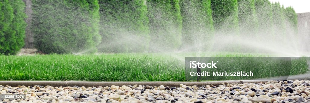 Sprinklers watering grass Sprinklers watering grass, green lawn in garden Irrigation Equipment Stock Photo