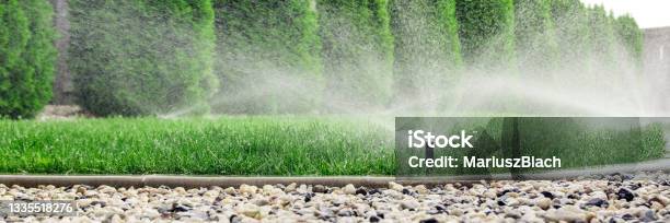 Sprinklers Watering Grass Stock Photo - Download Image Now - Irrigation Equipment, Sprinkler, Watering