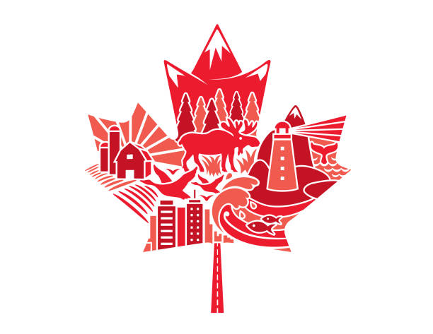 Canadian Maple Leaf Mosaic Collage Illustration National maple leaf of Canada made up of traditional iconography canadian culture stock illustrations