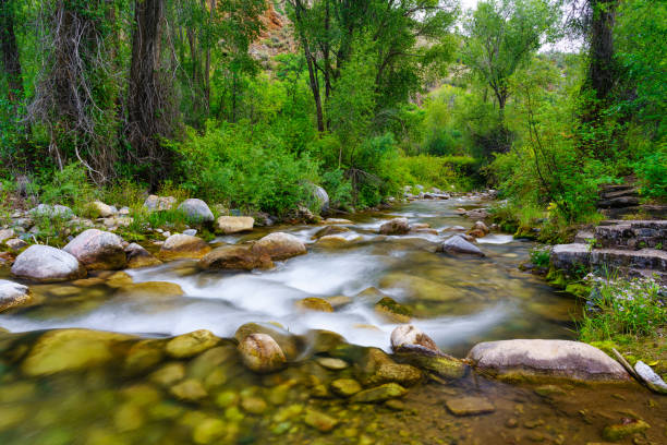istock Serene Creek in Nature 1335522528