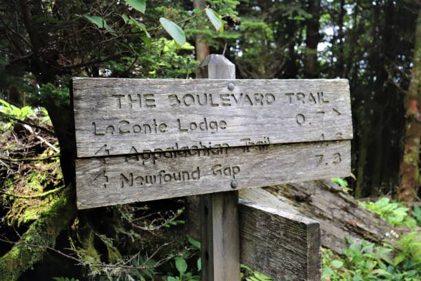 istock LeConte Lodge, Great Smoky Mountains National Park. 1335525169