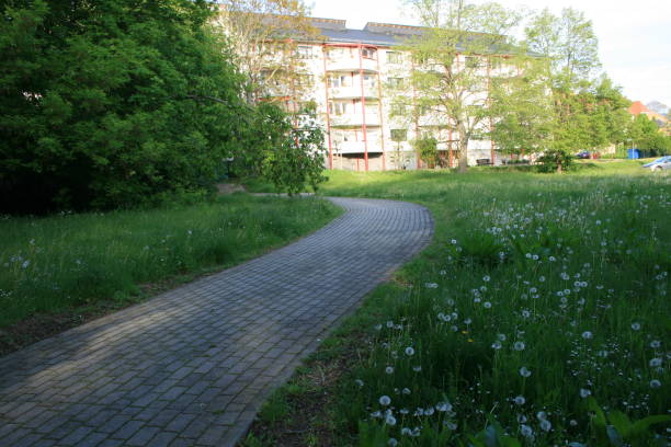 istock flowers in the garden 1335526687
