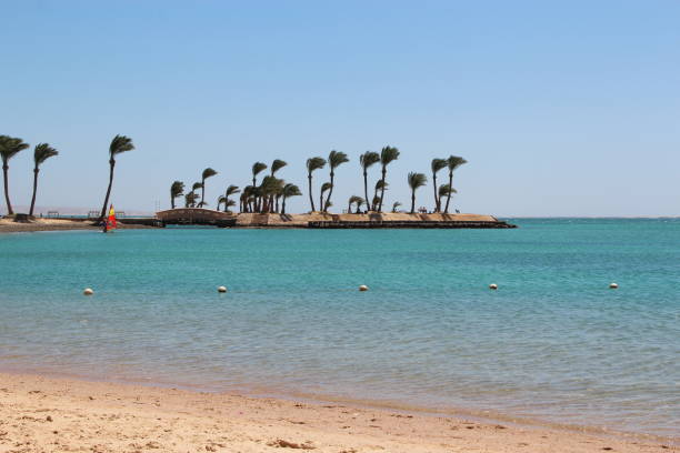 istock Island with palm trees in ocean. Summer vacation 1335526768